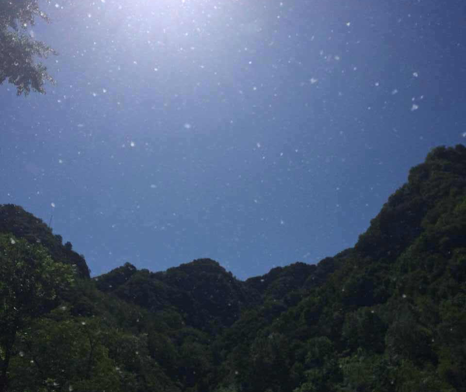 黑山大峡谷景点图片