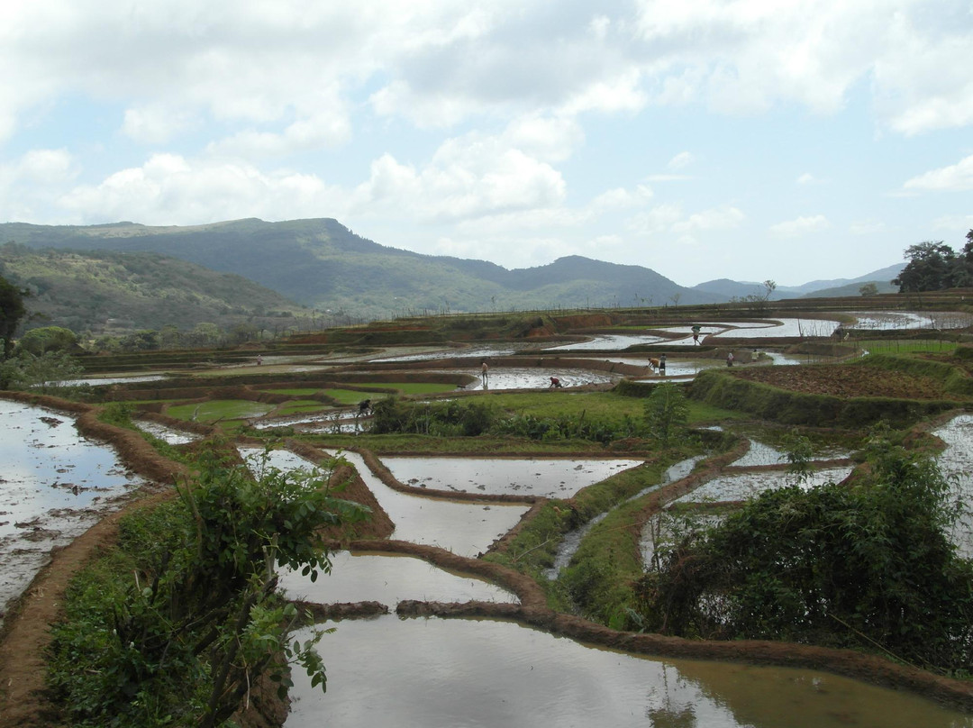 Knuckles Mountain Range-中央省必去景点