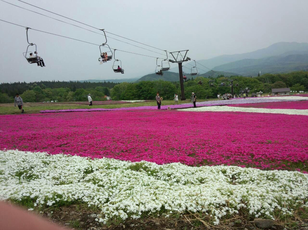Kurohime Highland-信浓町 必去景点