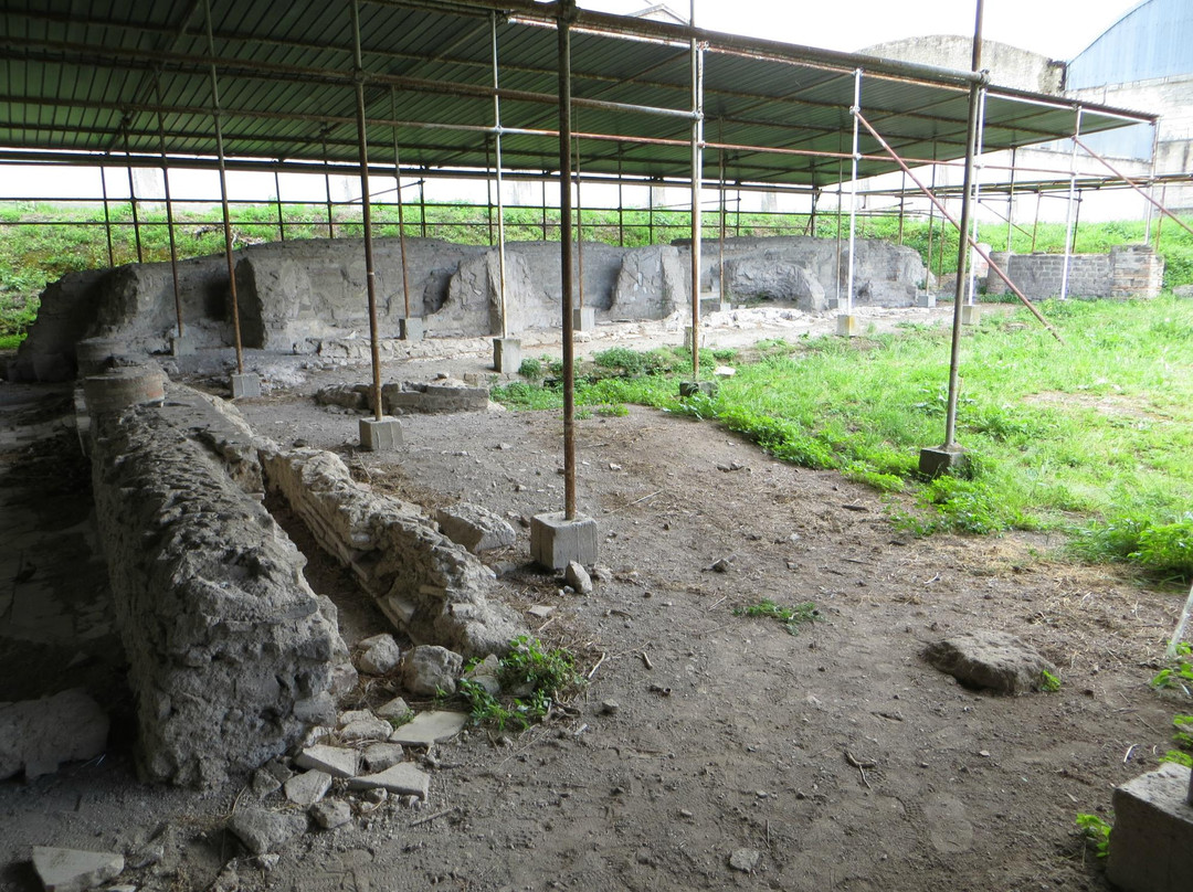 Domus di Via Degli Orti景点图片