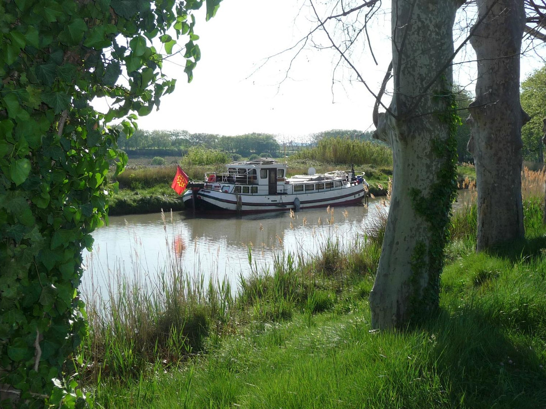Canal de Jonction-Salleles-d'Aude必去景点