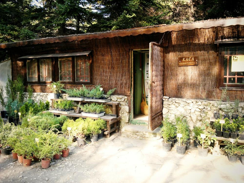 Botanical Garden Ecopark-瓦尔纳必去景点