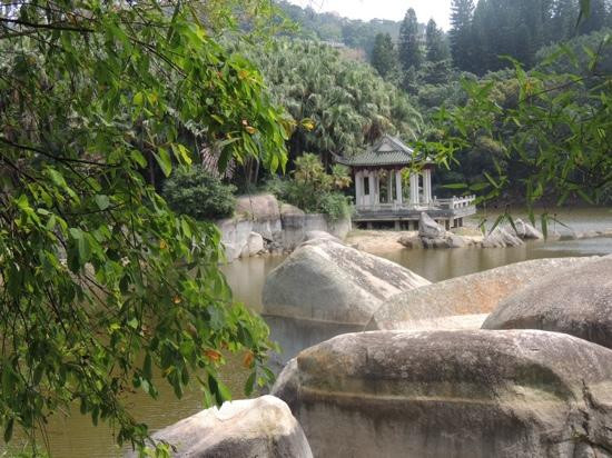 厦门园林植物园景点图片