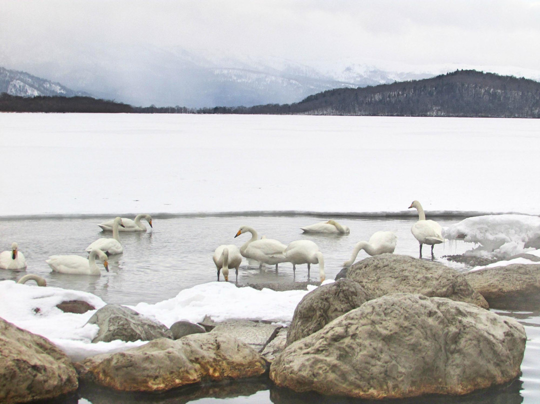 Kotan Onsen-弟子屈町必去景点