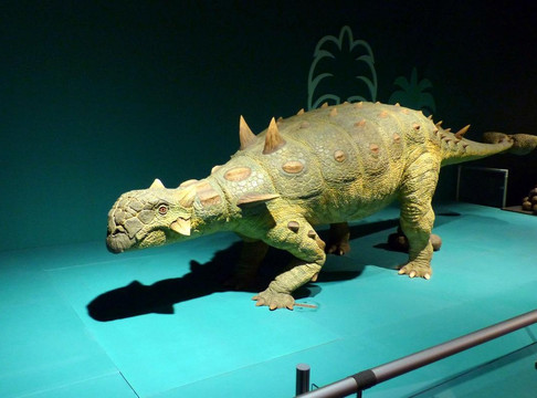 香港科学馆-香港必去景点