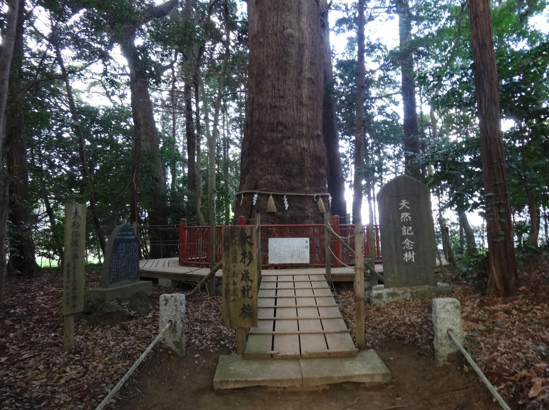 Makata Shrine-成田市必去景点