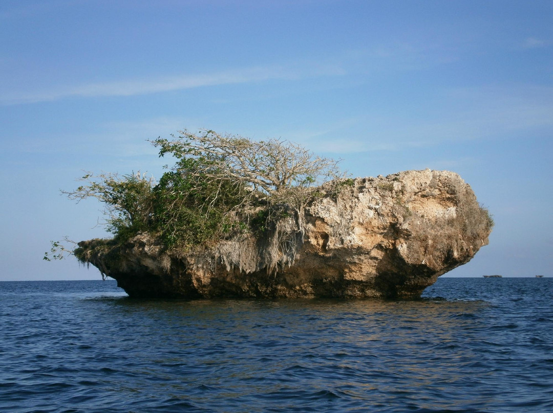 Wasini's Blue Whale Boat Operators-Wasini Island必去景点