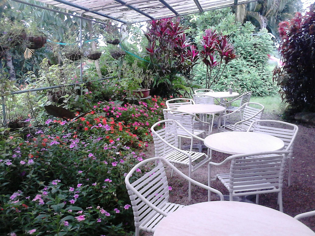 Bramston Beach餐馆和美食-The Cafe Bellenden Ker