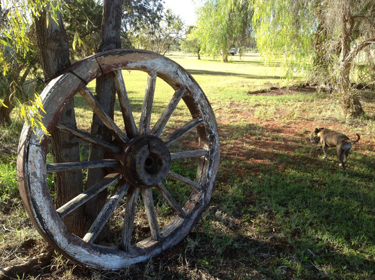 Thargomindah旅游景点-Kilcowera Station