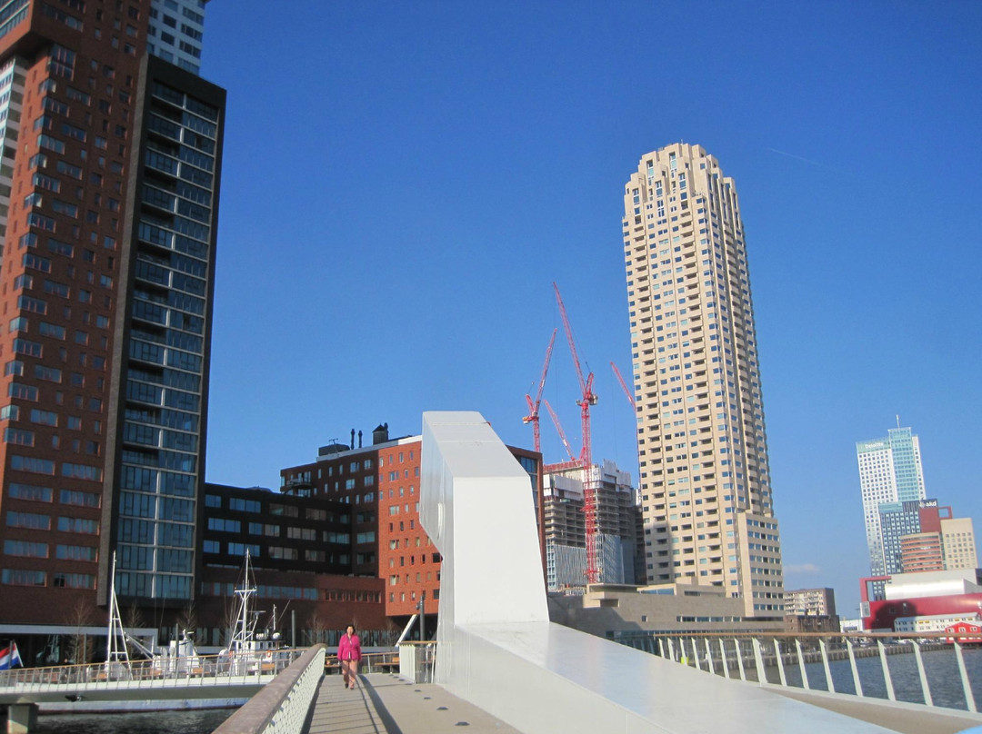 Rijnhavenbrug-鹿特丹必去景点