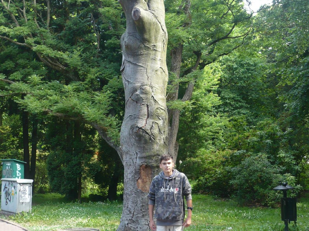 Pomeranian Princes Park-Koszalin必去景点