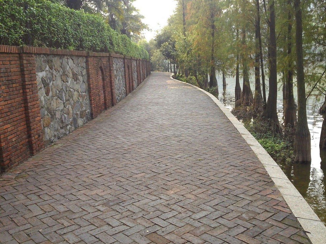 东莞虎英郊野公园-东莞市必去景点
