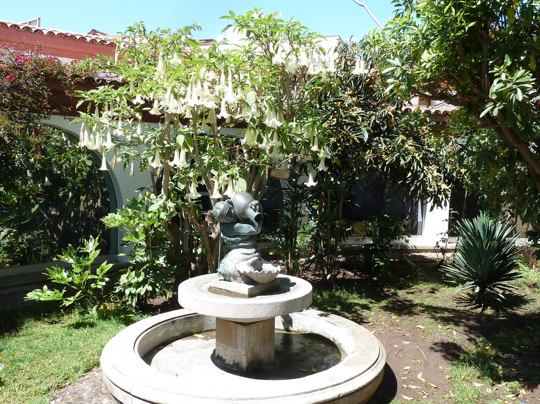 Museo Arqueológico de La Serena-拉塞雷纳必去景点