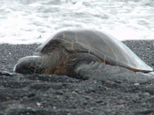 KapohoKine户外探险之旅-希洛必去景点