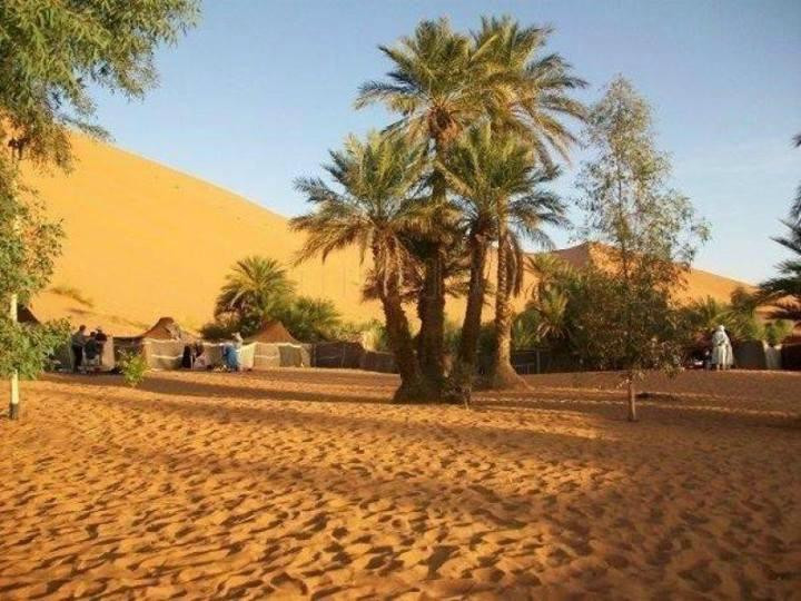 Sahara Local Tours-马拉喀什必去景点