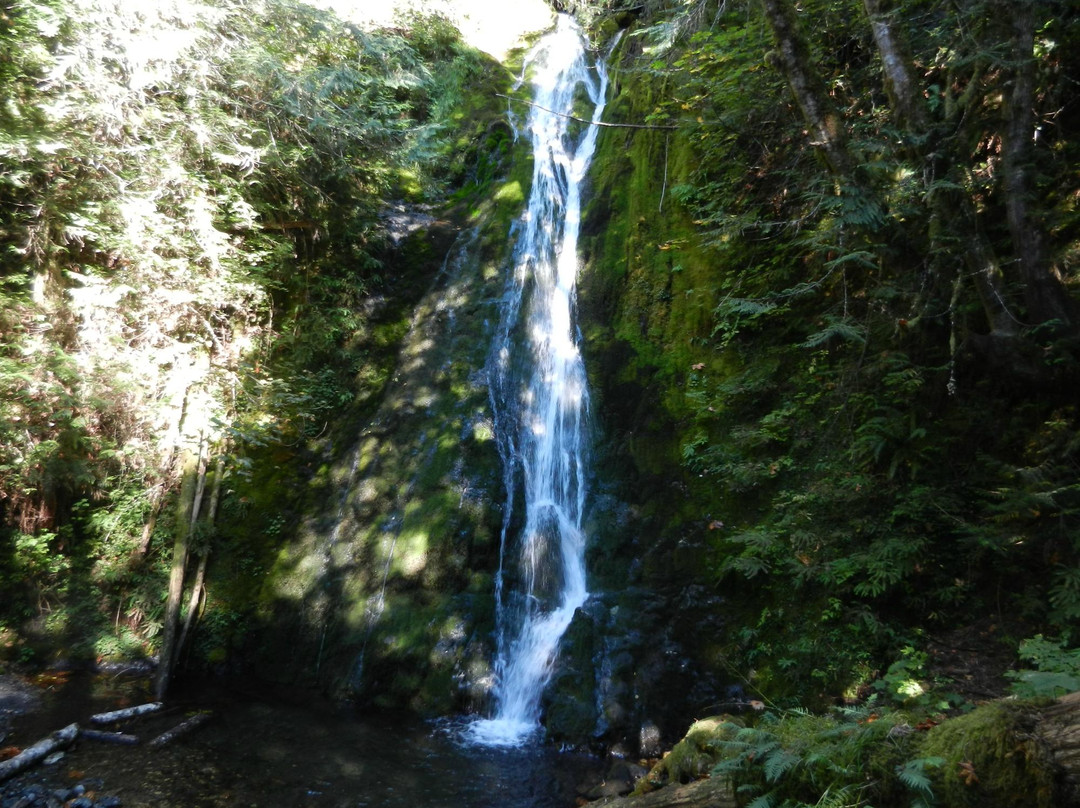 Madison Creek Falls景点图片