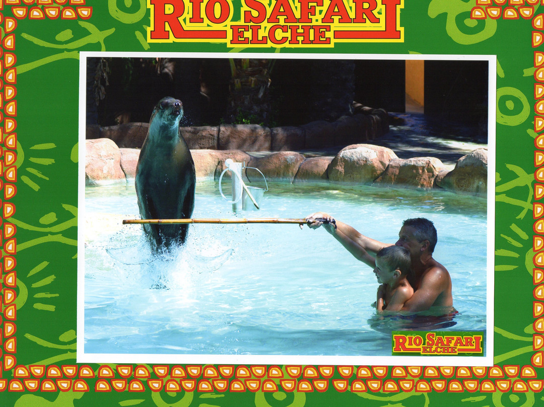Rio Safari Elche景点图片
