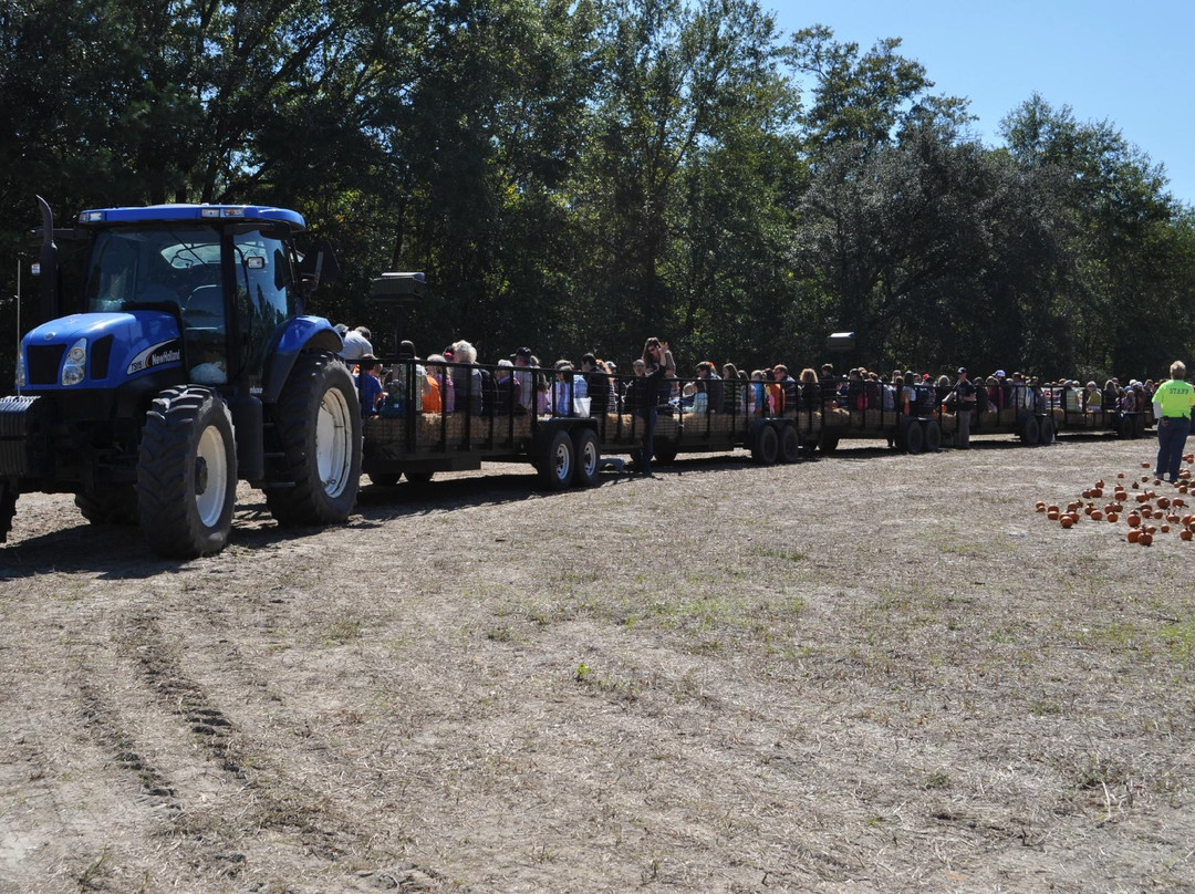 Poppell Farms-Odum必去景点
