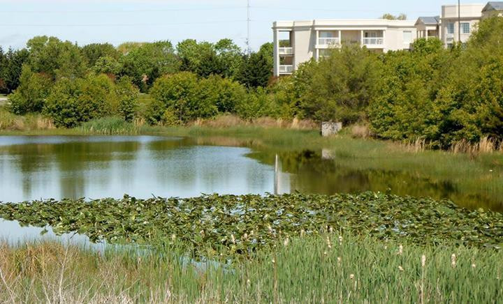 American Classic Golf Club-刘易斯必去景点