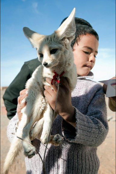 摩洛哥乡村之旅-非斯必去景点