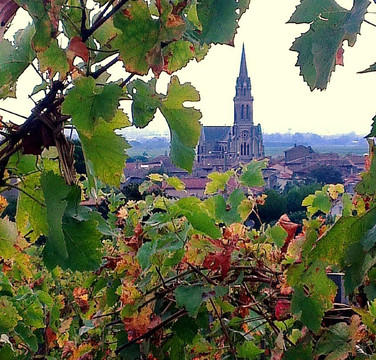 Cave Dumien - Serrette-Cornas必去景点