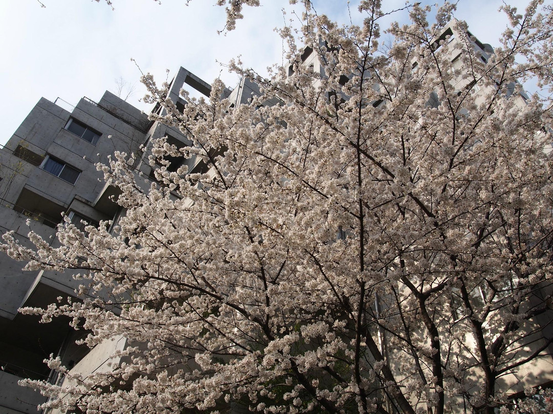 Otonashi Shinsui Park-北区必去景点