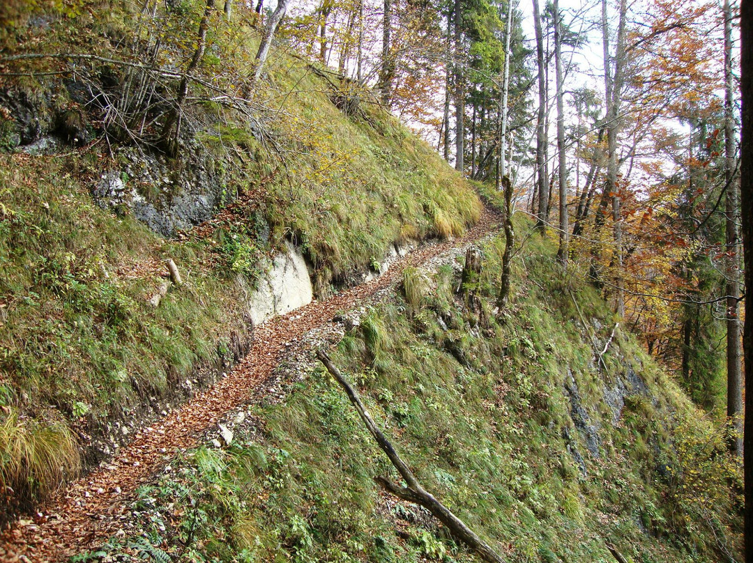 Nationalpark Kalkalpen-Reichraming必去景点