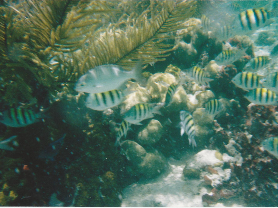 Cistern Cay Beach-伊柳塞拉必去景点