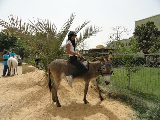 Al Sorat Farm-Abu Sir必去景点