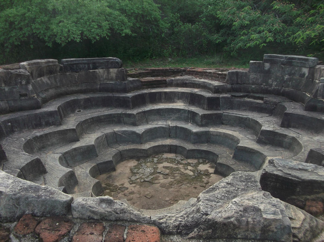 Lotus Pond景点图片