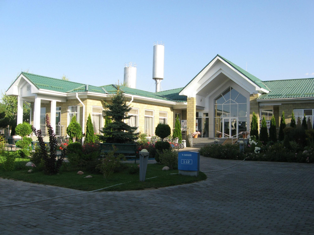 Balykchy酒店住宿-Karven Issyk-Kul