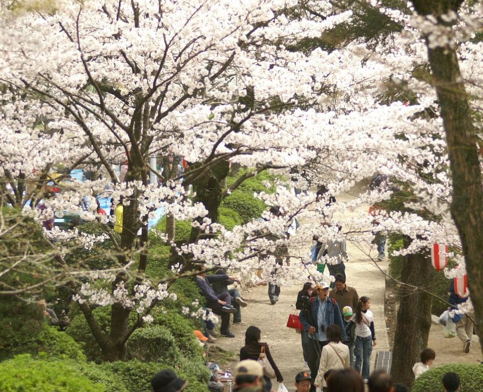 Satsukiyama Park景点图片
