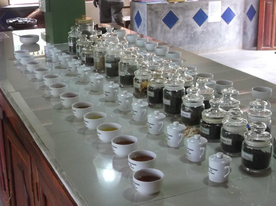 Handunugoda Tea Estate景点图片
