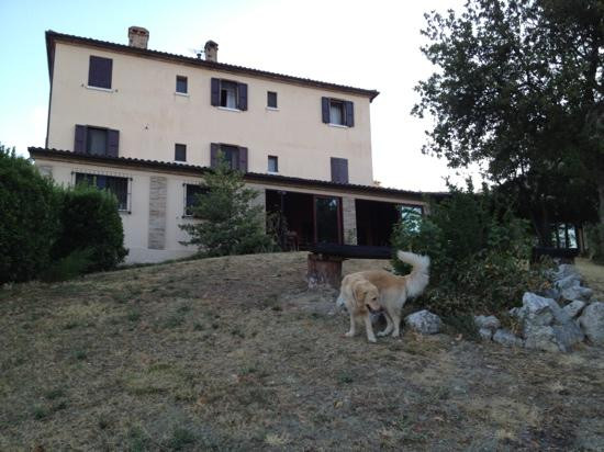 Agriturismo Il Pomo Reale