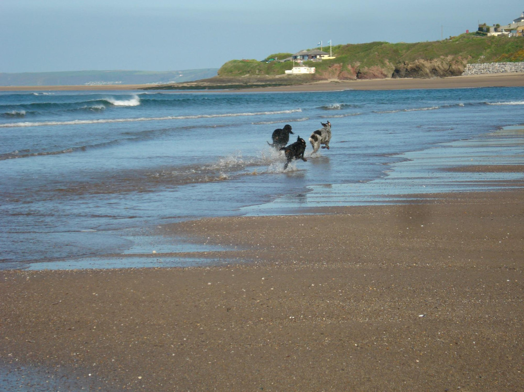 Bantham Beach and estate-Bantham必去景点