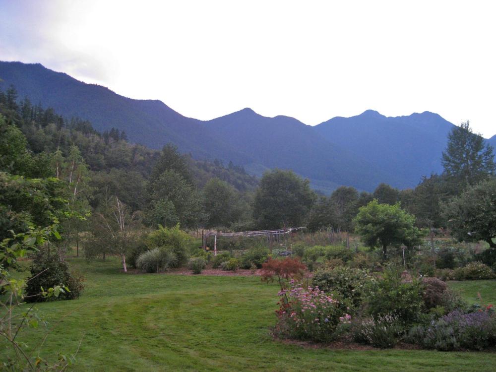 Elk Meadows Farm-客卧