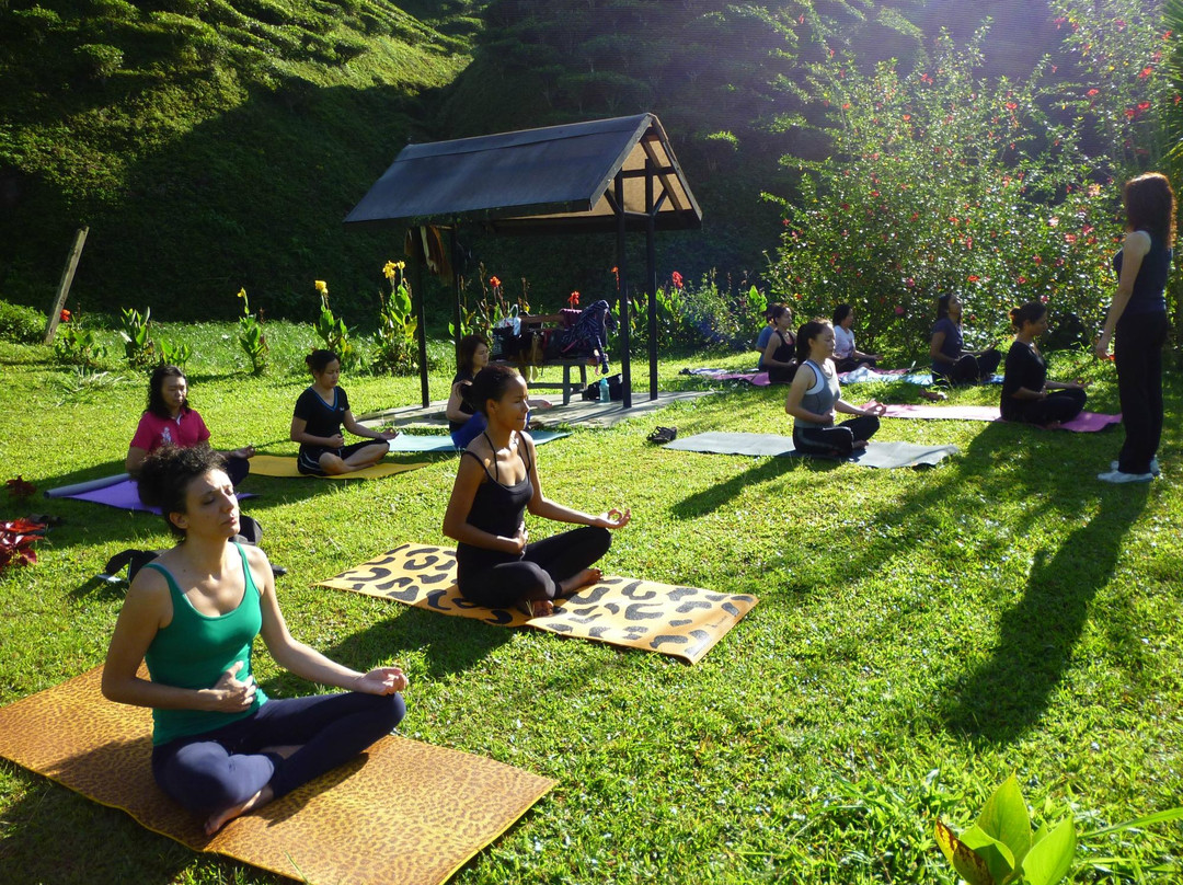 The Yoga Studio-碧兰璋必去景点