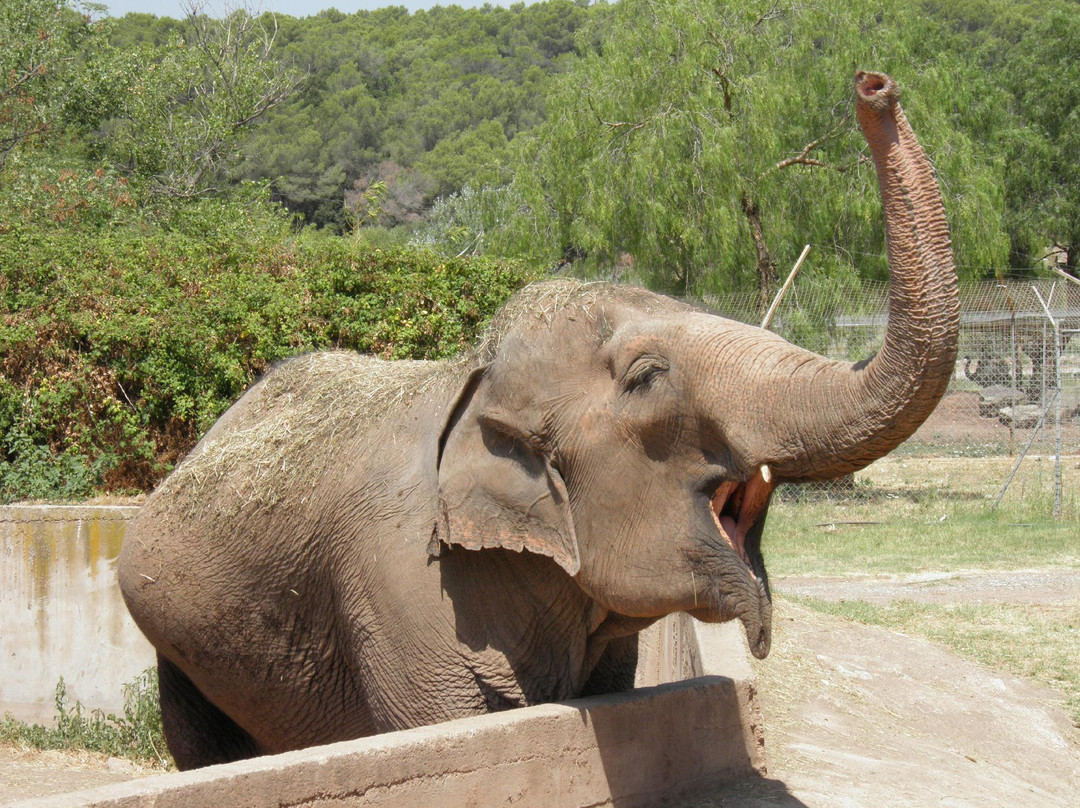 Parc Zoologique de Frejus-弗雷瑞斯必去景点