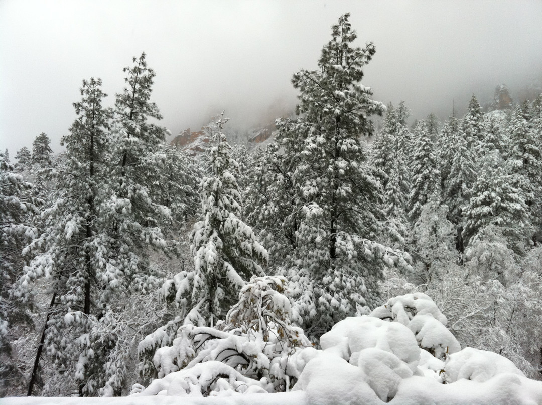 橡树溪峡谷-塞多纳必去景点