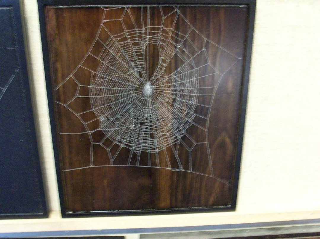 Knight's Spider Web Farm-Williamstown必去景点