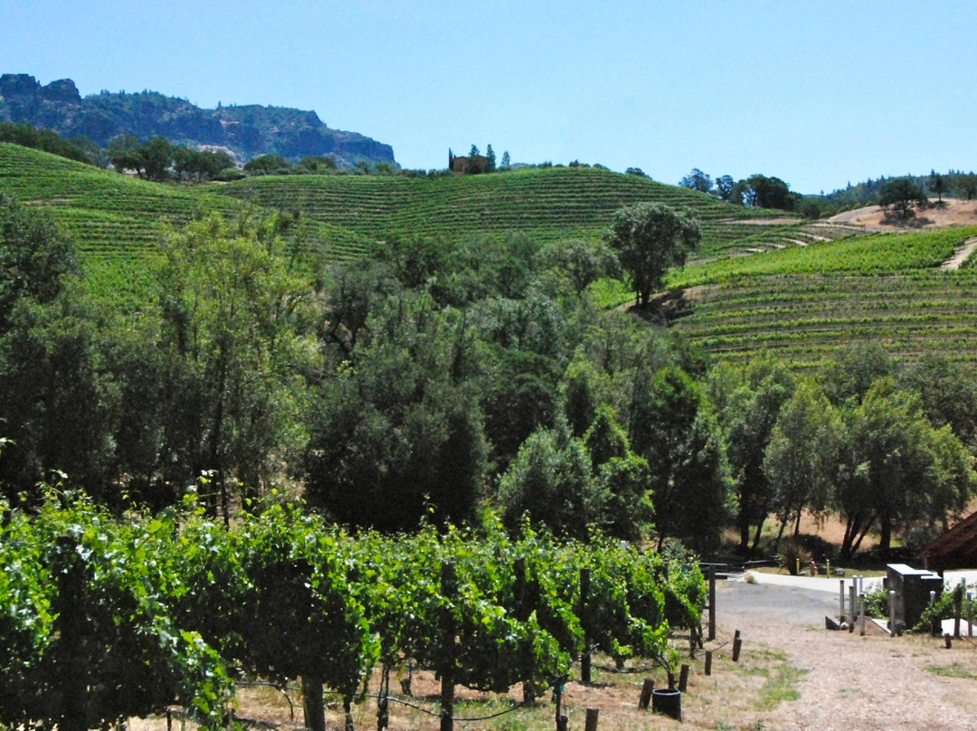 Jericho Canyon Vineyard景点图片