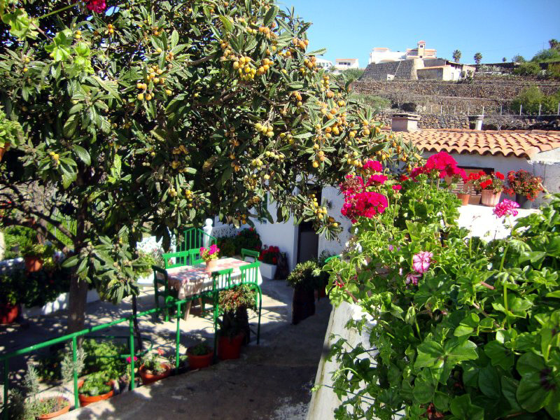 Casa Rural La Escalona主图