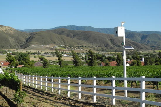 Robert Renzoni Winery-特曼库拉必去景点