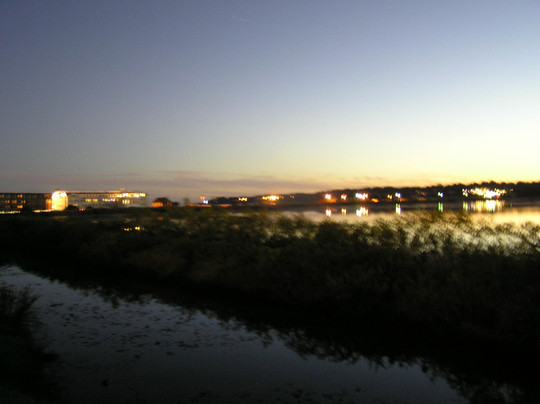 Sea Whale Motel主图