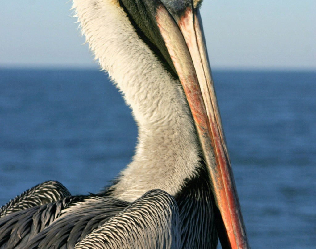 Eco Tours & More-圣奥古斯丁必去景点
