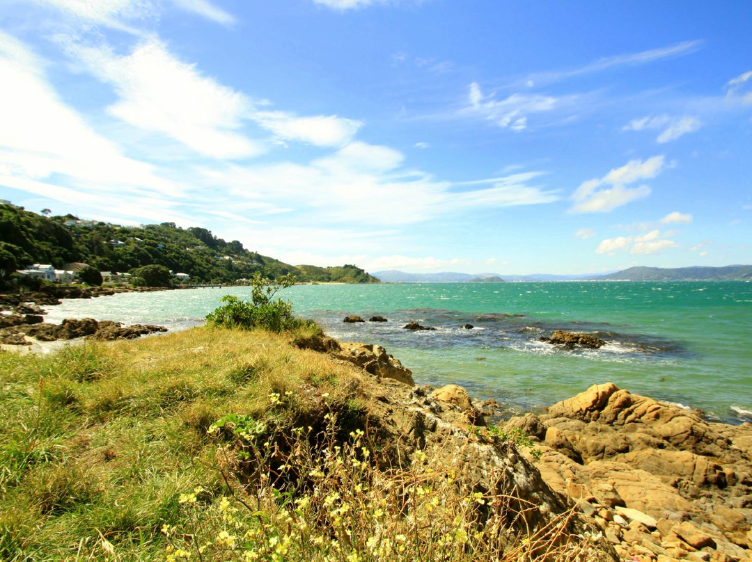 Scorching Bay-惠灵顿必去景点