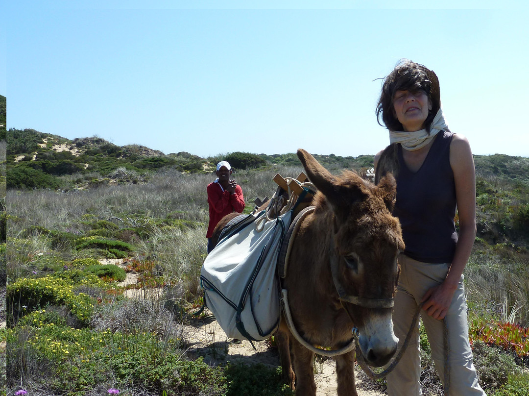 Burros & Artes景点图片