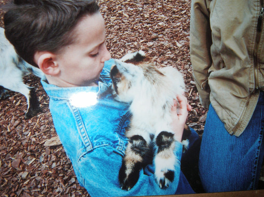 Tanglewood Farm Miniatures-Canton必去景点