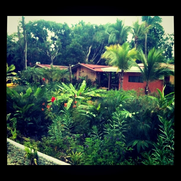 Costa Rica Surf Camp景点图片