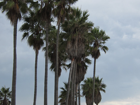 洛杉矶户外骑行登山活动-洛杉矶必去景点